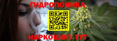прущие грибы Иваново