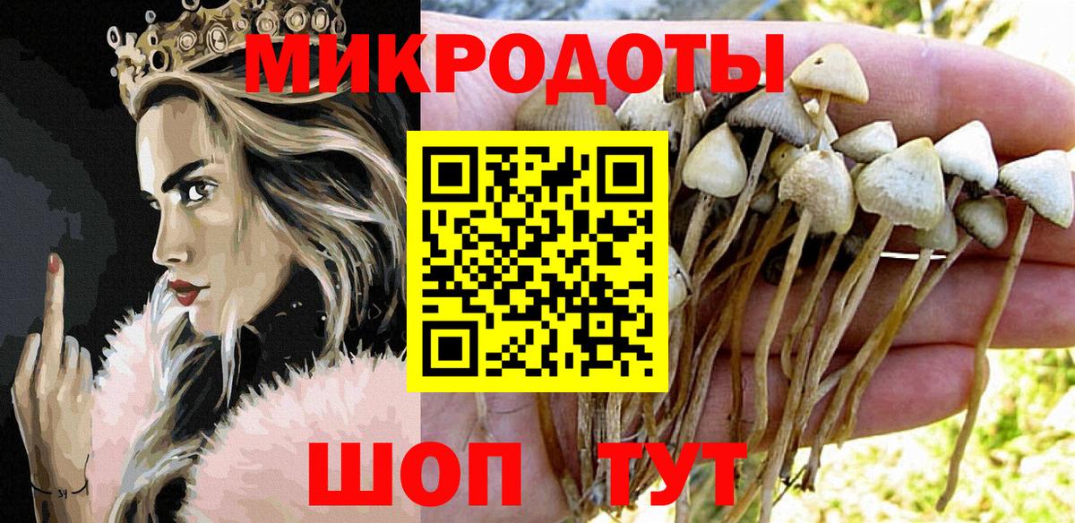 Галлюциногенные грибы Magic Shrooms Ейск